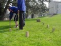 kubb cup 8
